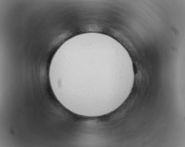 X0000116050306200912312257