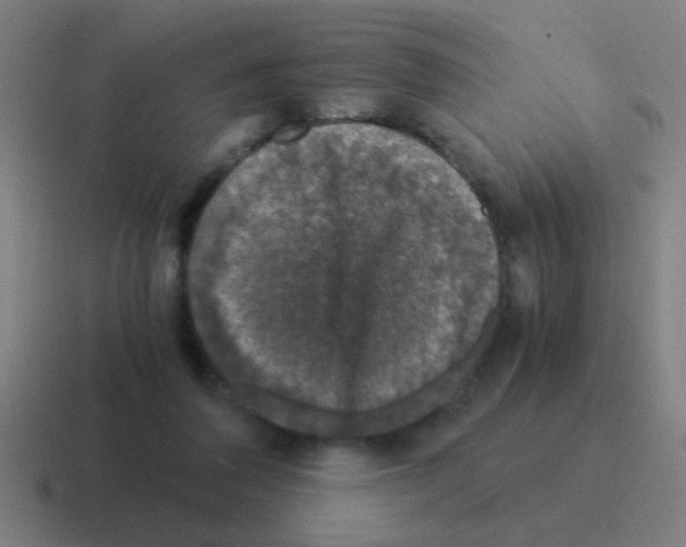X0000116050308200912312257
