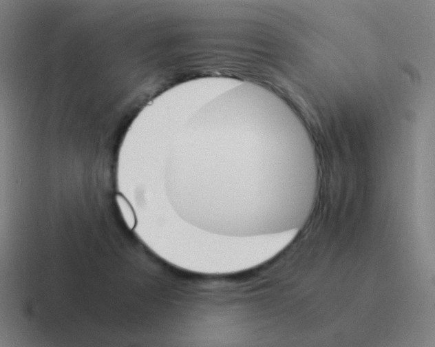 X0000116050313200912312257