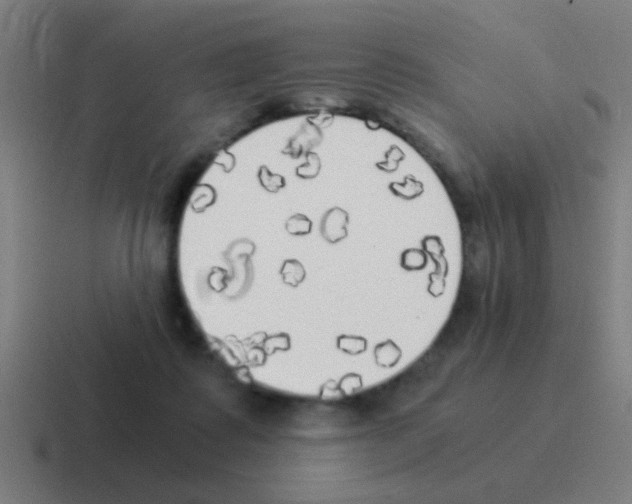 X0000116050315200912312257