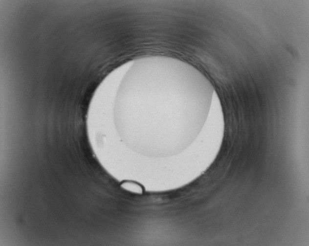 X0000116050320200912312257