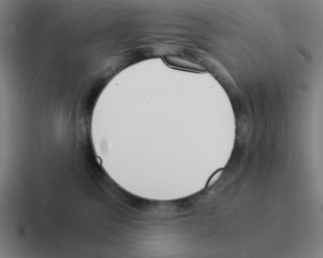 X0000116050329200912312257