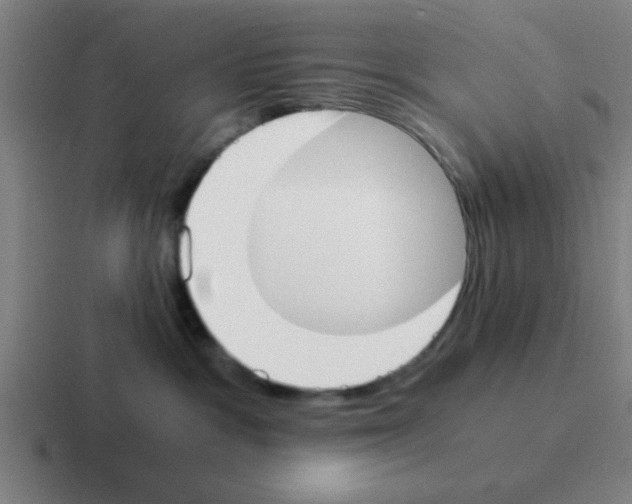 X0000116050333200912312257