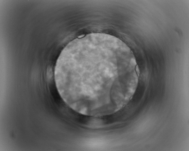X0000116050335200912312257