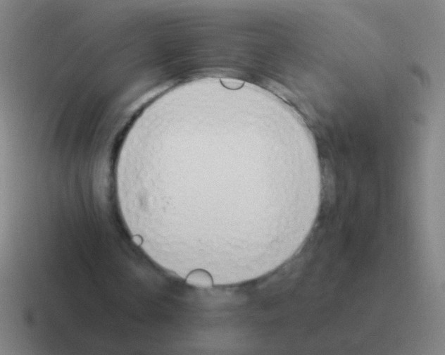 X0000116050338200912312256