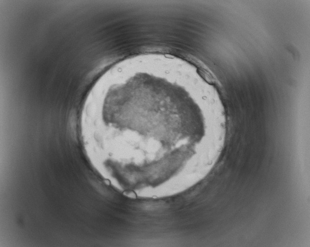 X0000116050345200912312256
