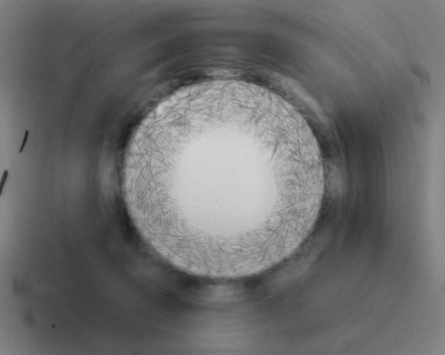 X0000116050370200912312257