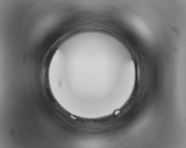 X0000116050387200912312256
