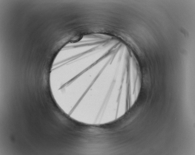 X0000116050393200912312256