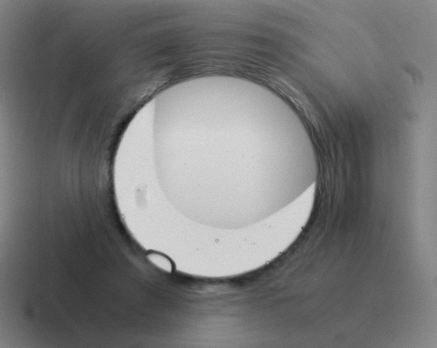 X0000116050401200912312256