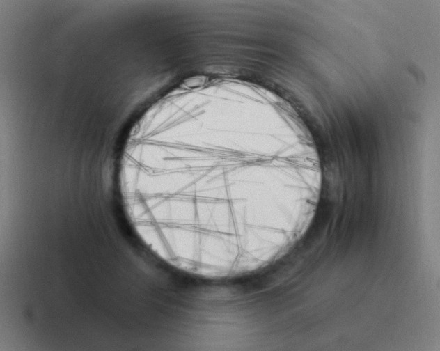 X0000116050404200912312256