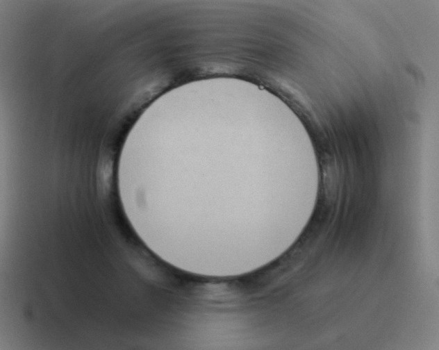 X0000116050406200912312256