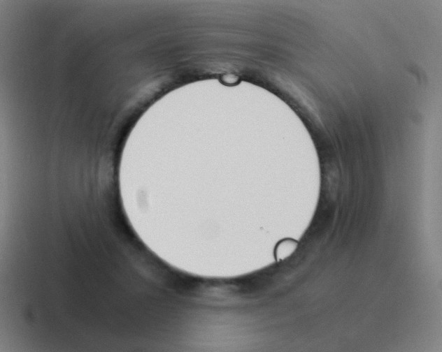 X0000116050407200912312256