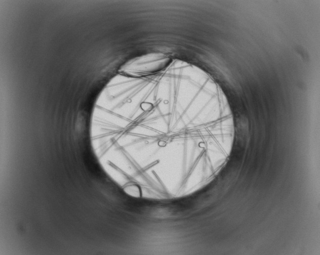 X0000116050412200912312256