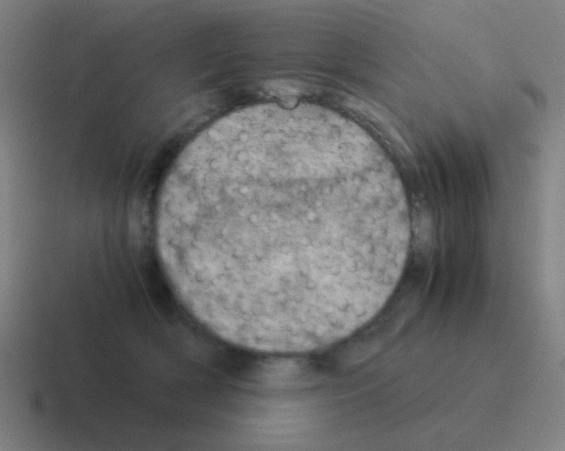 X0000116050418200912312256