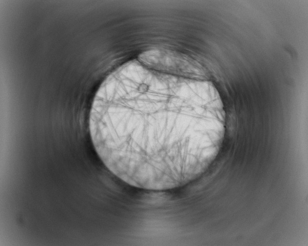 X0000116050428200912312256