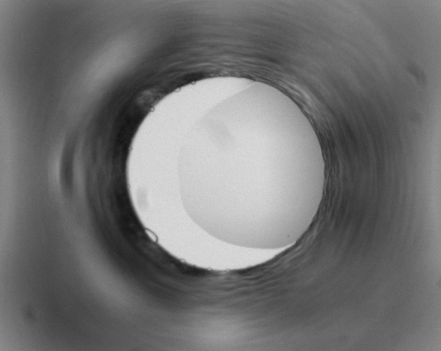 X0000116050429200912312256