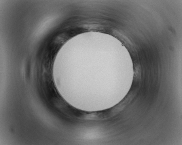 X0000116050430200912312256