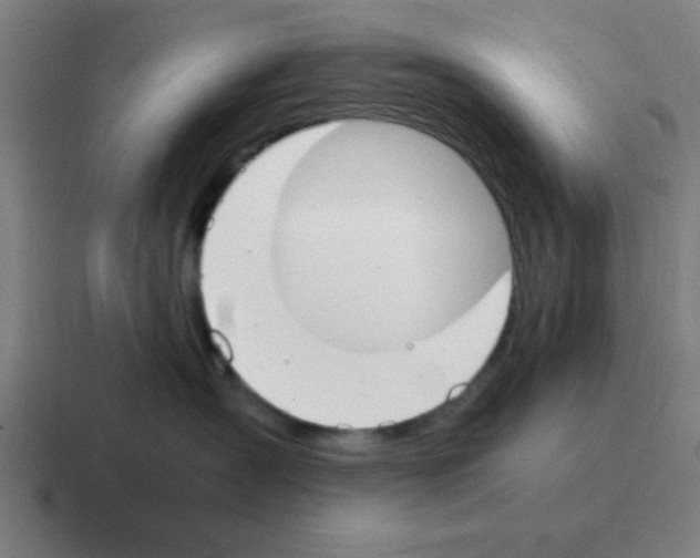 X0000116050431200912312256