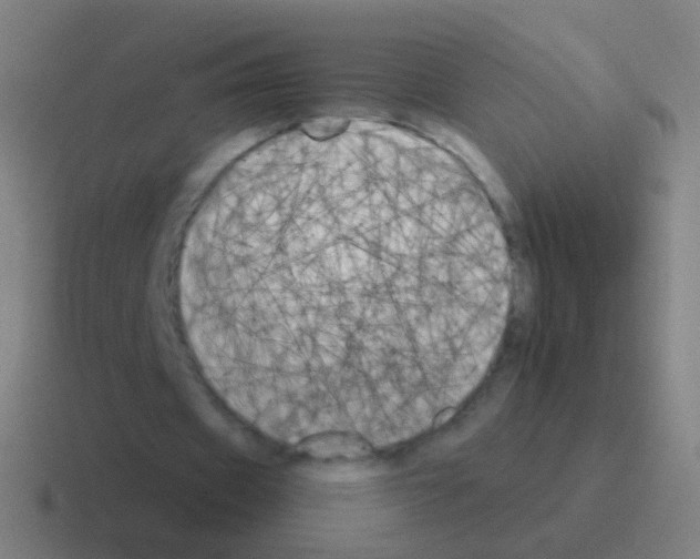 X0000116050433200912312255