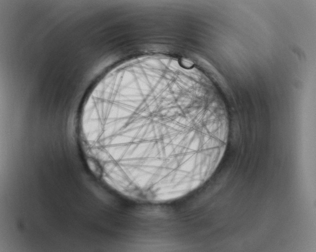 X0000116050439200912312255