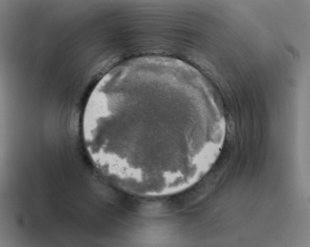 X0000116050454200912312255