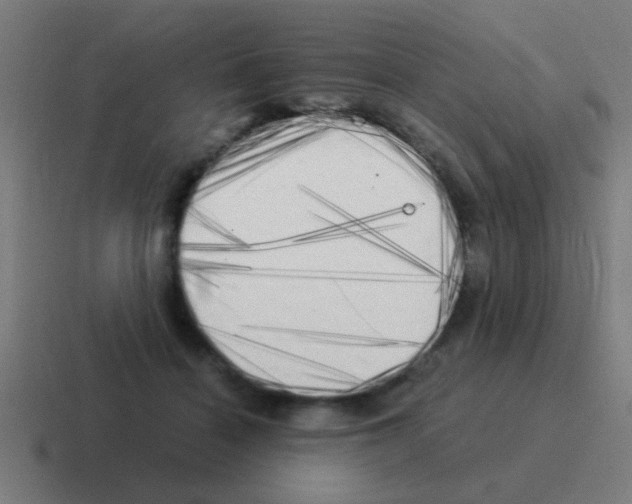 X0000116050460200912312255