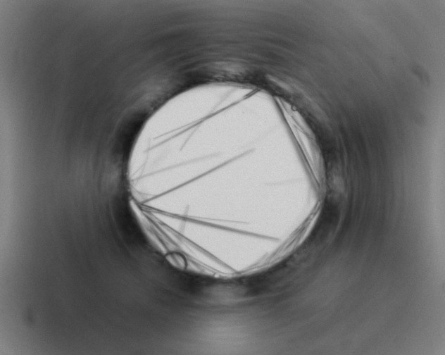 X0000116050468200912312255