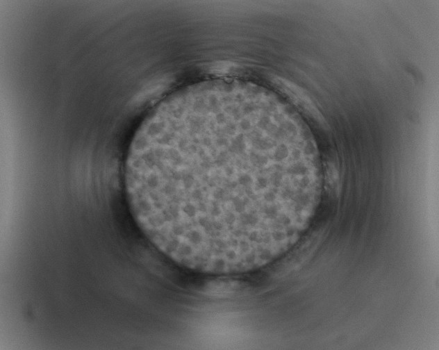 X0000116050470200912312255