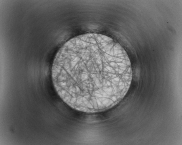 X0000116050472200912312255