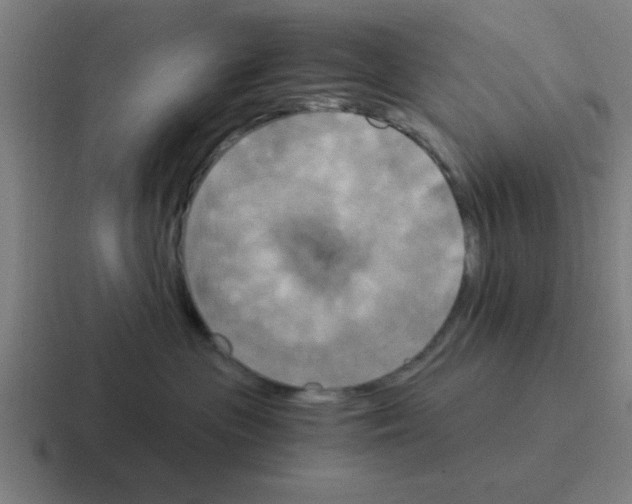 X0000116050477200912312255