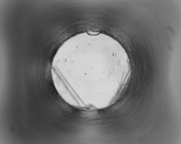 X0000116050480200912312255