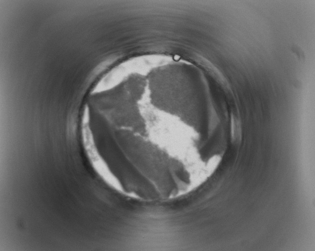 X0000116050483200912312255