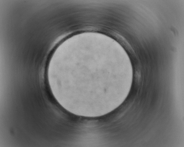 X0000116050484200912312255