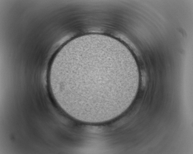 X0000116050486200912312255