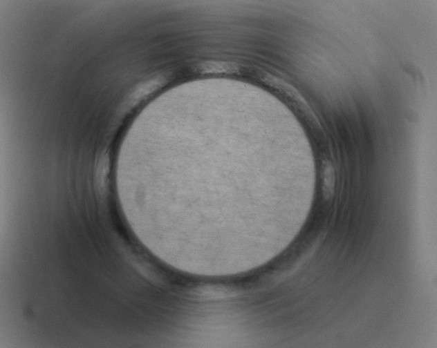 X0000116050490200912312255