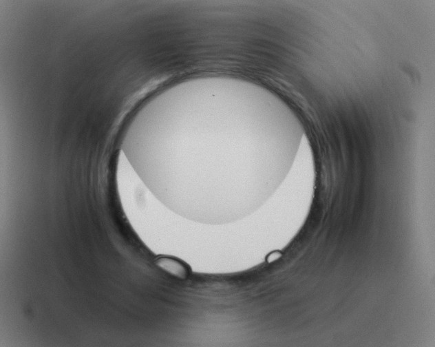 X0000116050492200912312255
