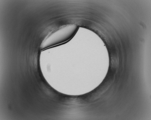 X0000116050493200912312255