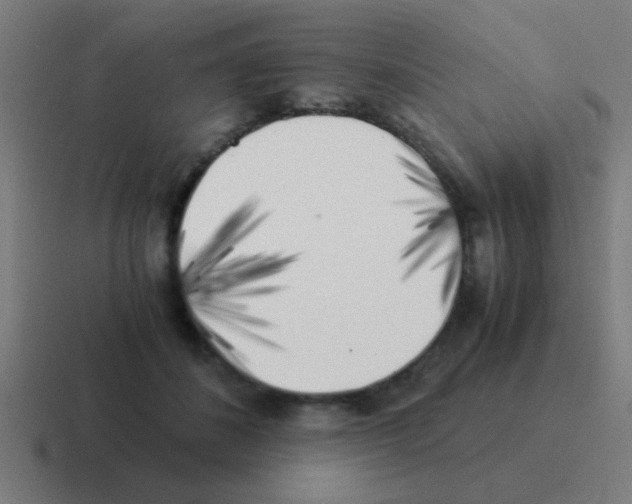 X0000116050508200912312255