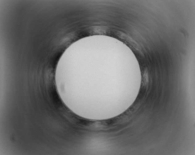 X0000116050522200912312254