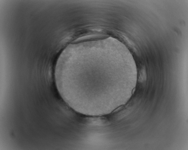 X0000116050524200912312254
