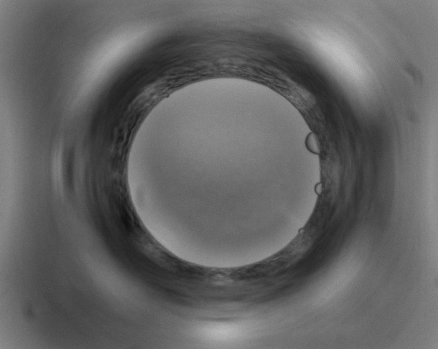 X0000116050526200912312254