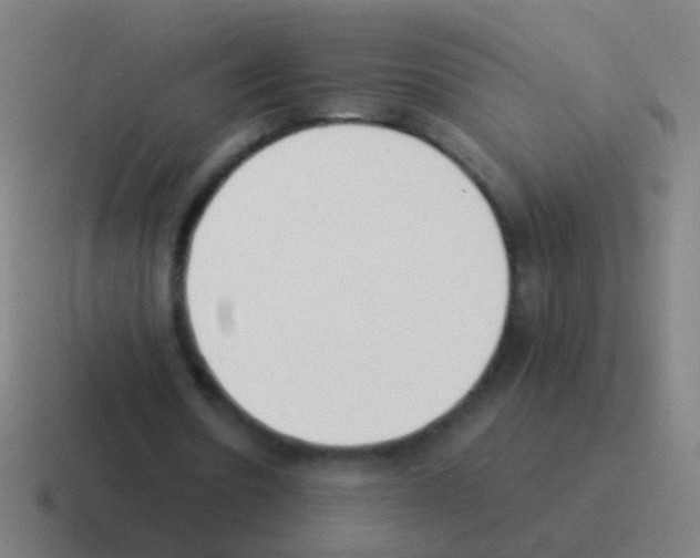X0000116050530200912312254