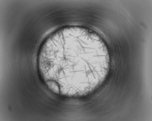 X0000116050535200912312254