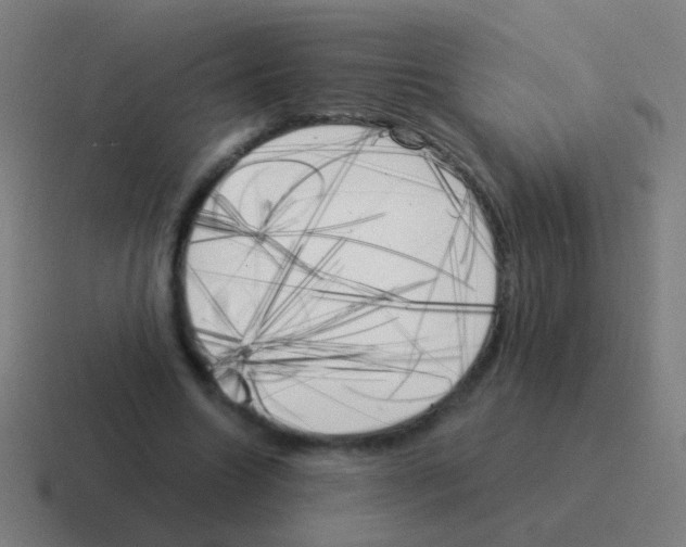 X0000116050538200912312254