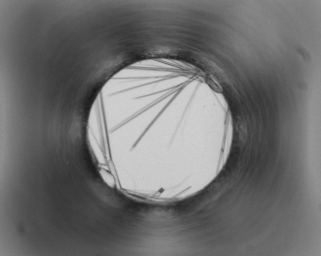 X0000116050546200912312254