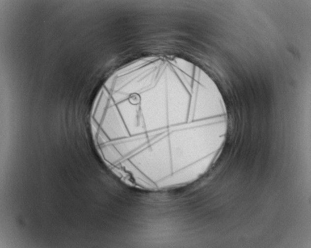 X0000116050574200912312254