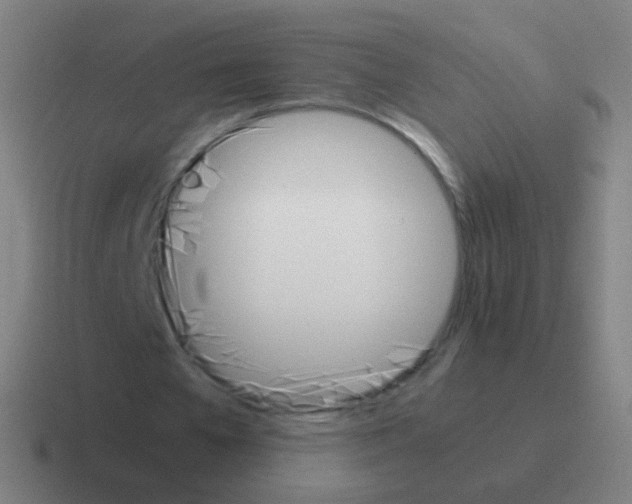 X0000116050577200912312254