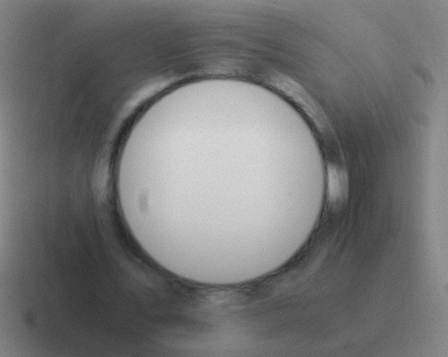 X0000116050579200912312254