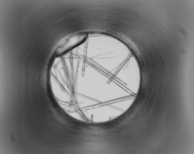 X0000116050580200912312254